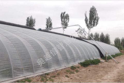寧夏石嘴山惠農區蔬菜產銷專業合作