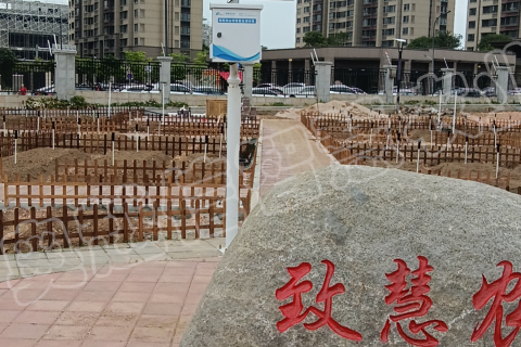 马銮湾实验小学劳动实践基地建设