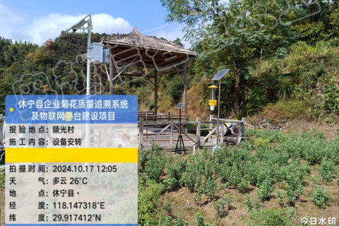 休宁县企业菊花质量追溯系统及物联网平台建设项目案例